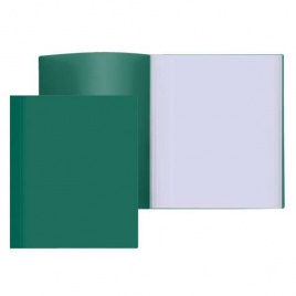 Папка с 100 файлами 0,60мм зеленый ATTOMEX 3107000