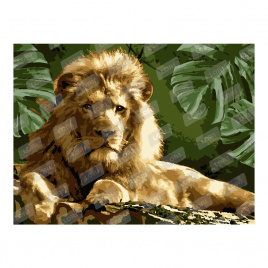 Рх-008 Картина по номерам холст на подрамнике 30*40 см Мудрый лев