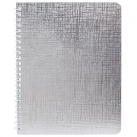 Тетрадь 48л., А5, клетка на гребне Hatber Metallic. Серебро, бумвинил