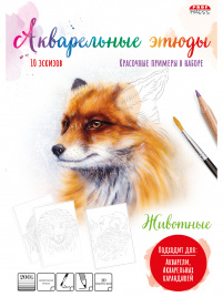 Папка для акварельных набросков ЖИВОТНЫЕ (Р-2048)папка А4,10л.ч/б акв.бум.200г,+1л. мел.бум115г,цв.п