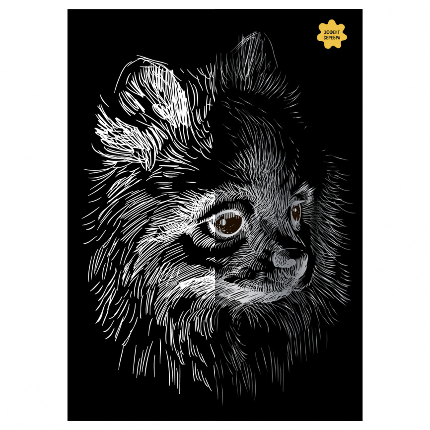 Гравюра с эффектом серебра ТРИ СОВЫ Шпиц, А5 фото 1